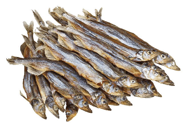 Dried fish